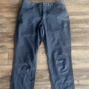 Everlane Performance Chino